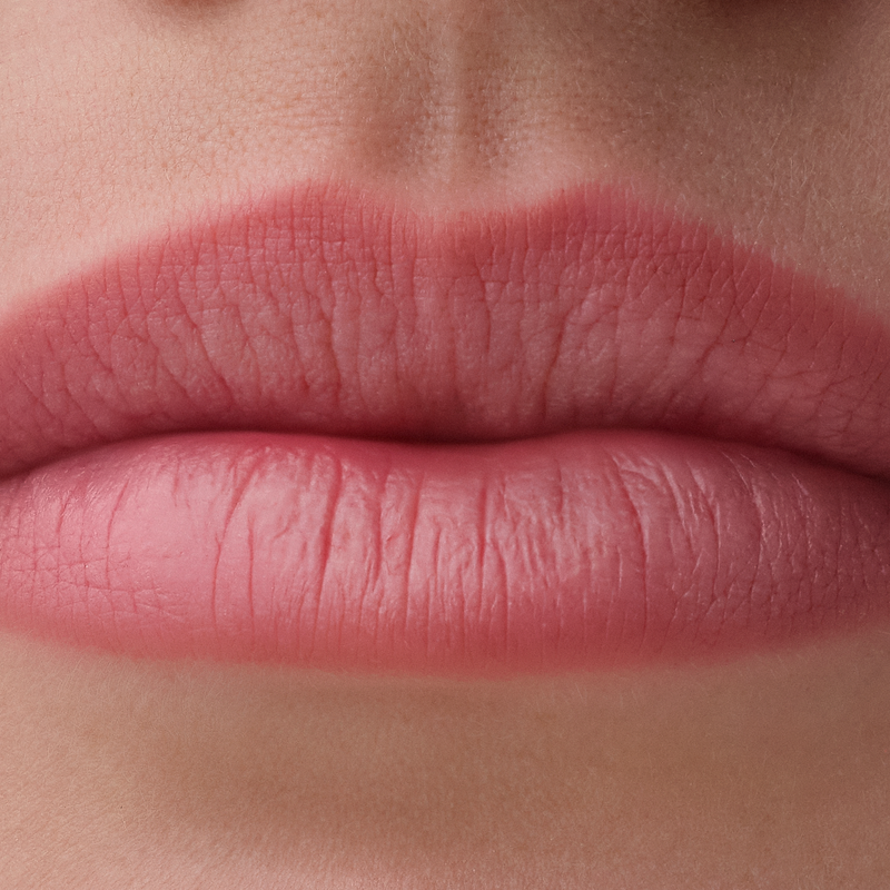 Catrice Blur-Real Lip Shaper 020 Snatched