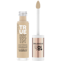 Catrice True Skin High Cover Concealer