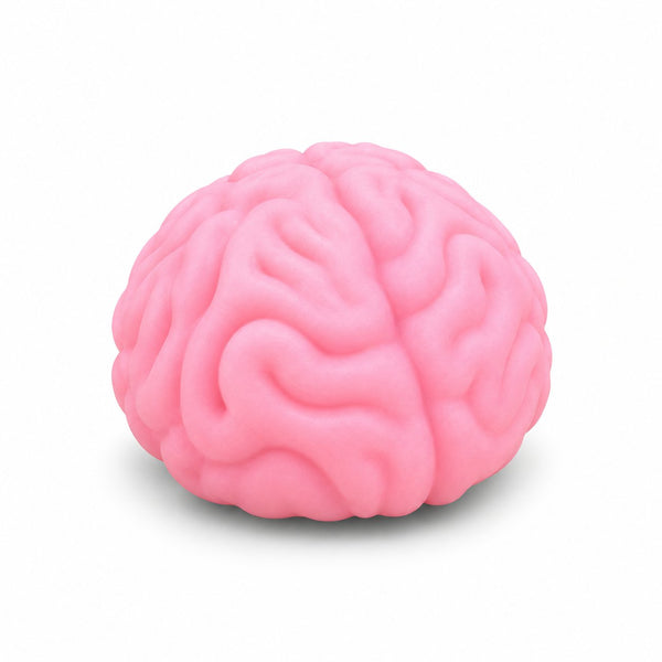 Squishy Crunchy Brain Squishy, stressverlichtend speeltje met knisperende textuur