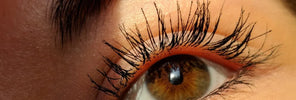 lashes