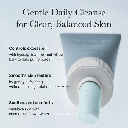 Arencia Hyssop Sebum Control Rice Cake Cleanser