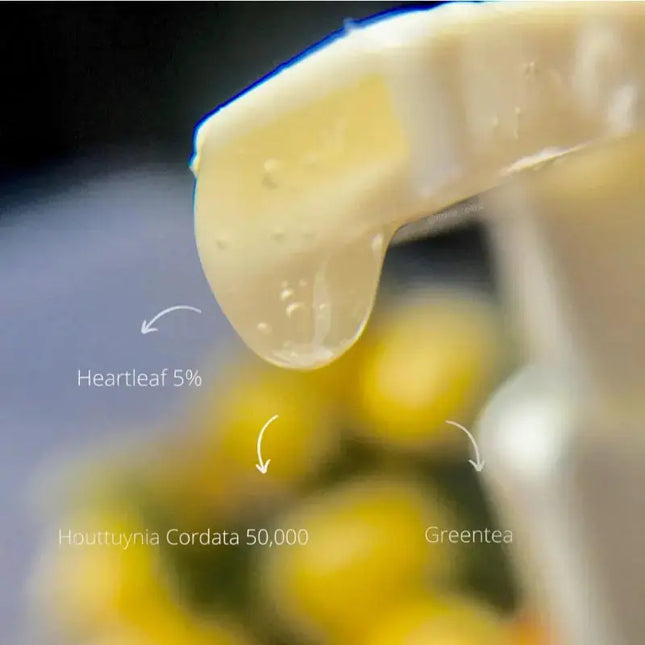 Be The Skin Be The Skin Heartleaf O2 Bubble Wash Off Maskpack