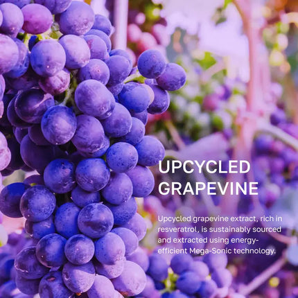 By Juccy Vinoberry Bakuchi-Oil Firming Ampoule