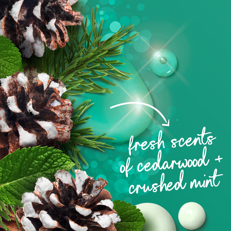 Dove Body Wash Cedarwood & Crushed Mint 3