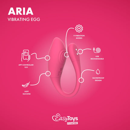 EasyToys EasyConnect Vibrerend Eitje Aria AppControlled