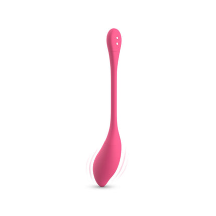 EasyToys EasyConnect Vibrerend Eitje Aria AppControlled