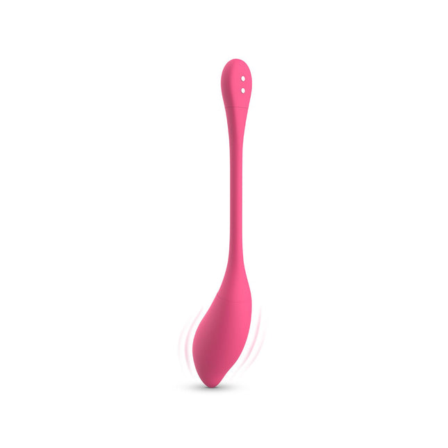 EasyToys EasyConnect Vibrerend Eitje Aria AppControlled