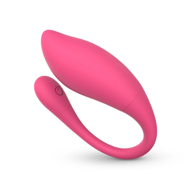 EasyToys EasyConnect Vibrerend Eitje Aria AppControlled
