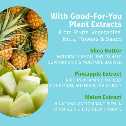 Hempz Travel-Size Sweet Pineapple & Honey Melon Herbal Body Moisturizer