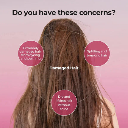 JULYME Damage Care Perfume Treatment Full Bloom