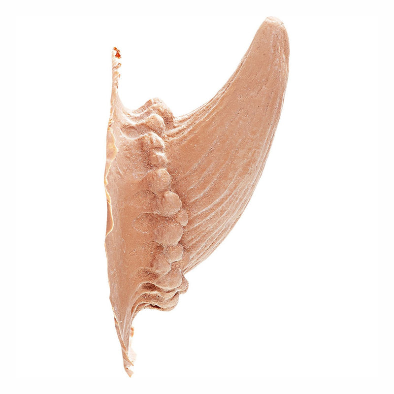 Kryolan Professional Make-up Latex Horns Devil