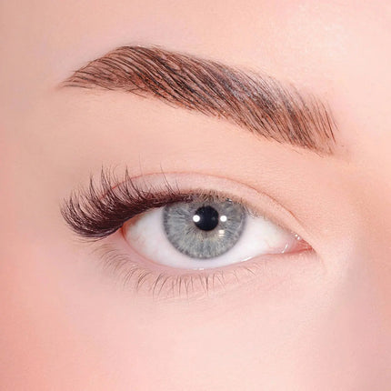Lola's Lashes Demi Flare Half Lashes Brown