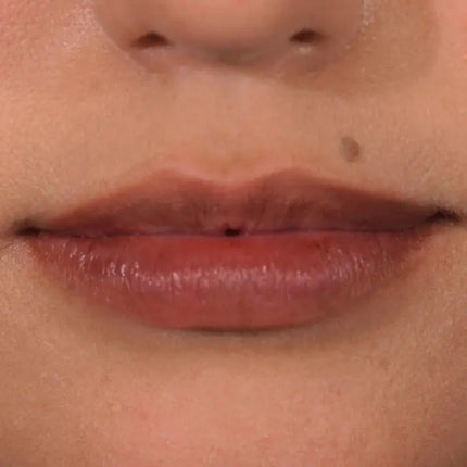 Palladio Beauty Lip Stain Nude