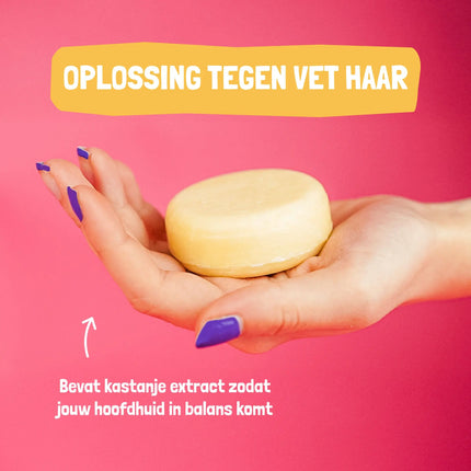 Shampoo Bars Shampoo Bar Citrus