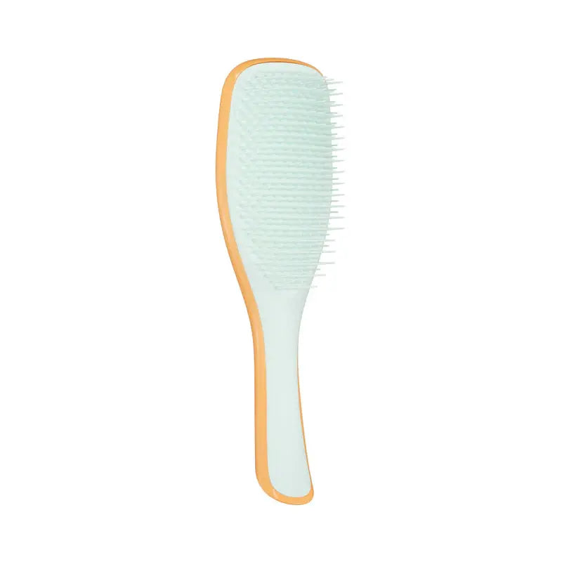 Tangle Teezer Ultimate Detangler Ice Blue & Sweet Orange
