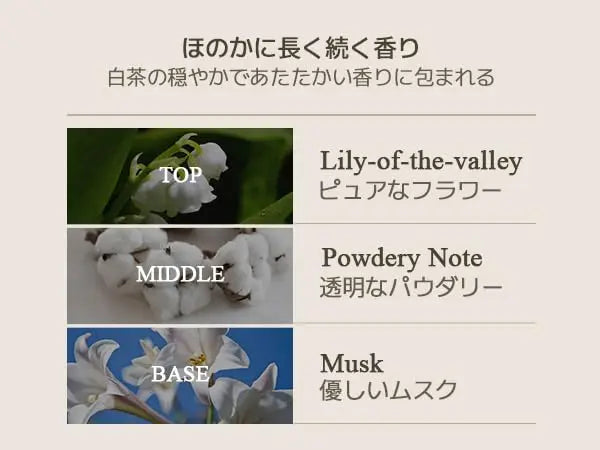 Teabless Lily Musk White Tea Perfume Body Lotion