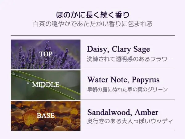 Teabless Sage Amber Purple Tea Perfume Body Lotion