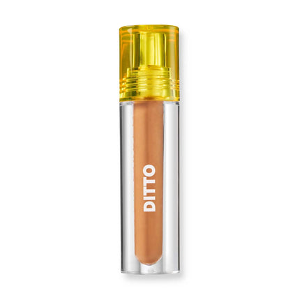 Trouble Maker Ditto Radiant Concealer