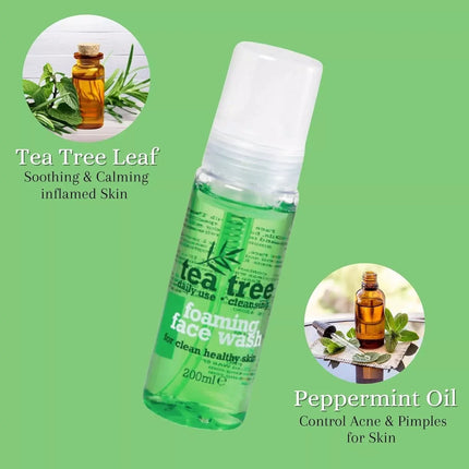 XBC Tea Tree Foaming Face Wash